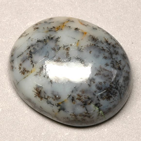 12,90 ctw natürlicher mehrfarbiger Dendritischer Achat, Oval Schliff, Lichtundurchlässig