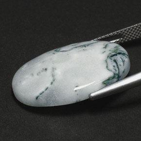 17,56 ctw natürlicher mehrfarbiger Dendritischer Achat, Oval Schliff, Lichtundurchlässig