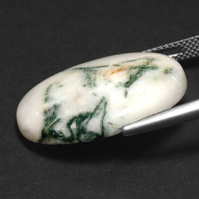 9,17 ctw natürlicher Mehrfarbig Dendritischer-Achat, Oval Schliff, Lichtundurchlässig