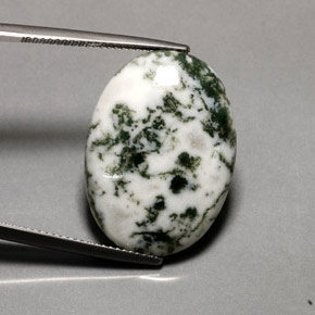 16,20 ctw natürlicher mehrfarbiger Dendritischer Achat, Oval Schliff, Lichtundurchlässig