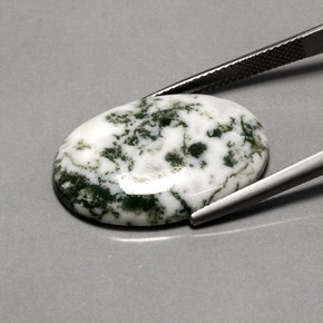 16,20 ctw natürlicher mehrfarbiger Dendritischer Achat, Oval Schliff, Lichtundurchlässig