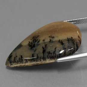 9,17 ctw natürlicher Mehrfarbig Dendritischer-Achat, Birnenform, Lichtundurchlässig