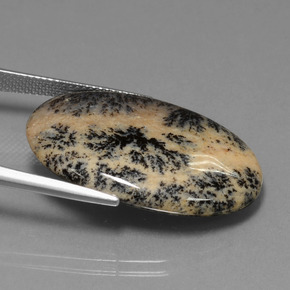 9,17 ctw natürlicher Mehrfarbig Dendritischer-Achat, Oval Schliff, Lichtundurchlässig