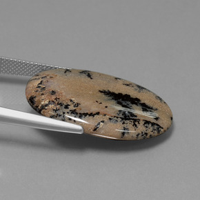 9,17 ctw natürlicher Mehrfarbig Dendritischer-Achat, Oval Schliff, Lichtundurchlässig