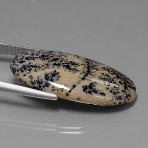 36,58 ctw natürlicher mehrfarbiger Dendritischer Achat, Oval Schliff, Lichtundurchlässig