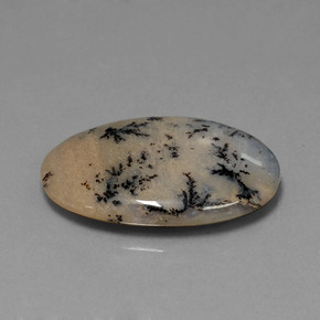 26,13 ctw natürlicher mehrfarbiger Dendritischer Achat, Oval Schliff, Lichtundurchlässig