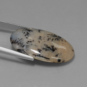 26,13 ctw natürlicher mehrfarbiger Dendritischer Achat, Oval Schliff, Lichtundurchlässig