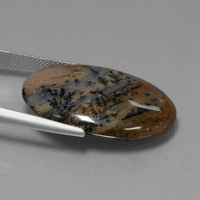 9,17 ctw natürlicher Mehrfarbig Dendritischer-Achat, Oval Schliff, Lichtundurchlässig