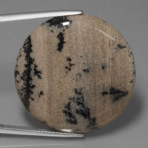 9,17 ctw natürlicher Mehrfarbig Dendritischer-Achat, Rund Schliff, Lichtundurchlässig