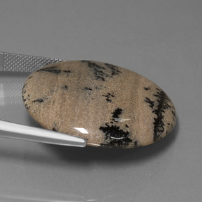 9,17 ctw natürlicher Mehrfarbig Dendritischer-Achat, Rund Schliff, Lichtundurchlässig