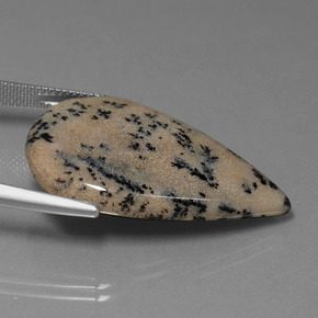 9,17 ctw natürlicher Mehrfarbig Dendritischer-Achat, Birnenform, Lichtundurchlässig