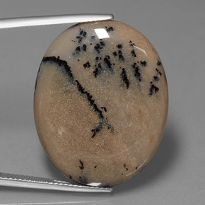 9,17 ctw natürlicher Mehrfarbig Dendritischer-Achat, Oval Schliff, Lichtundurchlässig