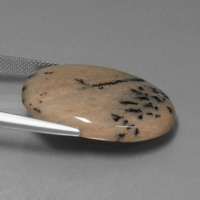 9,17 ctw natürlicher Mehrfarbig Dendritischer-Achat, Oval Schliff, Lichtundurchlässig