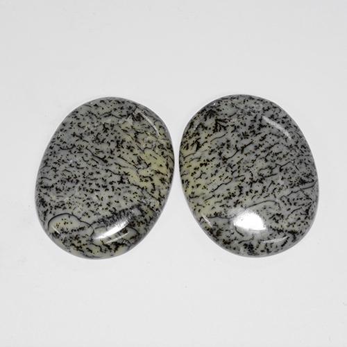 41,67 ct natürliche mehrfarbiger Dendritischer Achat-Edelsteine, Oval Schliff, Lichtundurchlässig