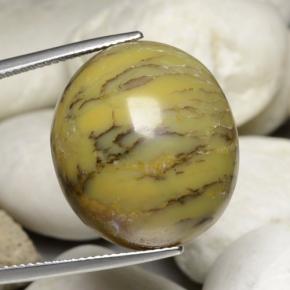 30,23 ctw natürlicher mehrfarbiger Dendritischer Achat, Oval Schliff, Lichtundurchlässig