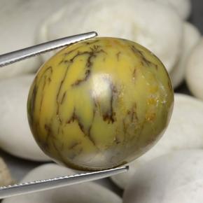 35,24 ctw natürlicher mehrfarbiger Dendritischer Achat, Oval Schliff, Lichtundurchlässig
