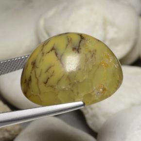 35,24 ctw natürlicher mehrfarbiger Dendritischer Achat, Oval Schliff, Lichtundurchlässig