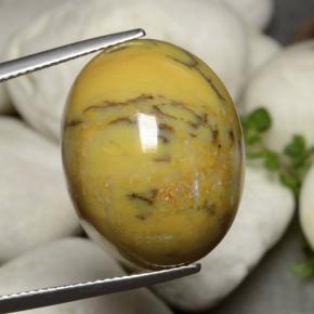 9,17 ctw natürlicher Mehrfarbig Dendritischer-Achat, Oval Schliff, Lichtundurchlässig