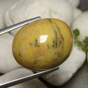 9,17 ctw natürlicher Mehrfarbig Dendritischer-Achat, Oval Schliff, Lichtundurchlässig