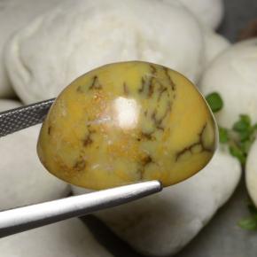 9,17 ctw natürlicher Mehrfarbig Dendritischer-Achat, Oval Schliff, Lichtundurchlässig