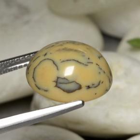 9,17 ctw natürlicher Mehrfarbig Dendritischer-Achat, Oval Schliff, Lichtundurchlässig