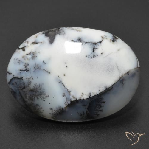 11.20ct Natürlicher Mehrfarbig Dendritischer-Achat, Oval, Lichtdurchlässig