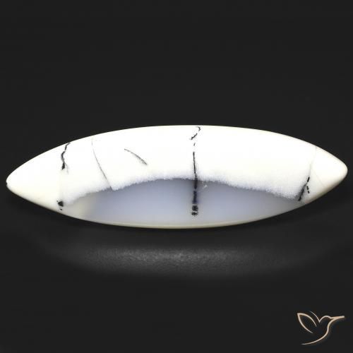 9,17 ctw natürlicher Weiß mit Schwarz Dendritischer-Achat, Marquise, Lichtdurchlässig