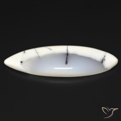 9,17 ctw natürlicher Weiß mit Schwarz Dendritischer-Achat, Marquise, Lichtdurchlässig