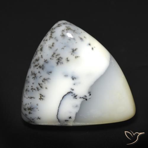 12.51ct Natürlicher Weiß mit Schwarz Dendritischer-Achat, Trillion, Lichtdurchlässig