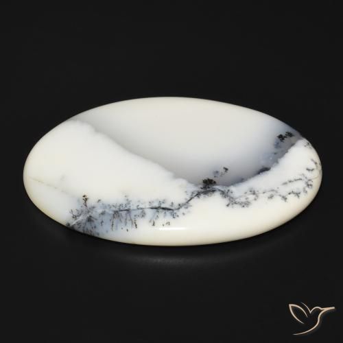 9,17 ctw natürlicher Weiß mit Schwarz Dendritischer-Achat, Oval, Lichtundurchlässig