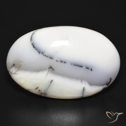 54.75ct Natürlicher Weiß mit Schwarz Dendritischer-Achat, Oval, Lichtundurchlässig