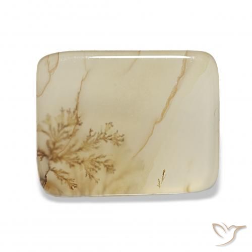 4.40ct Mehrfarbig Dendritischer-Achat, Kissen, Transparent