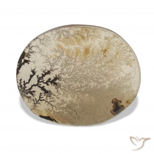3.38ct Mehrfarbig Dendritischer-Achat, Oval, Transparent