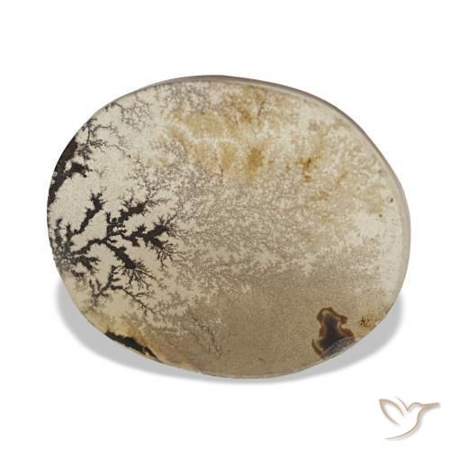 9,17 ctw natürlicher Mehrfarbig Dendritischer-Achat, Oval, Transparent
