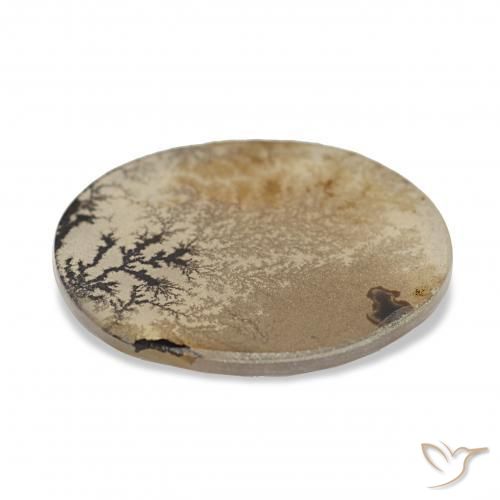 9,17 ctw natürlicher Mehrfarbig Dendritischer-Achat, Oval, Transparent