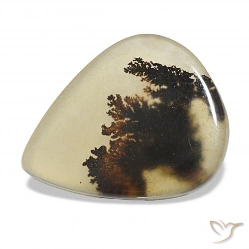 4.62ct Mehrfarbig Dendritischer-Achat, Birnenform, Transparent