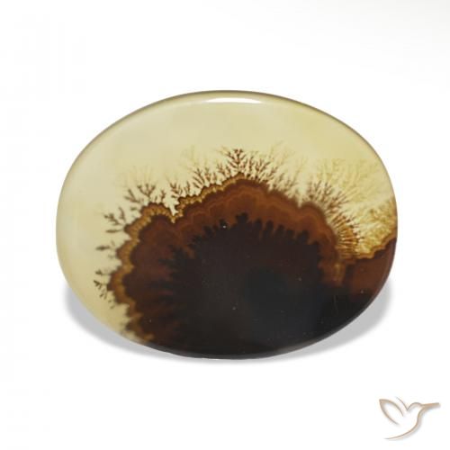 2.46ct Mehrfarbig Dendritischer-Achat, Oval, Transparent