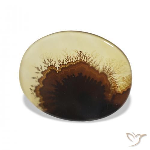 9,17 ctw natürlicher Mehrfarbig Dendritischer-Achat, Oval, Transparent