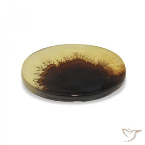 9,17 ctw natürlicher Mehrfarbig Dendritischer-Achat, Oval, Transparent