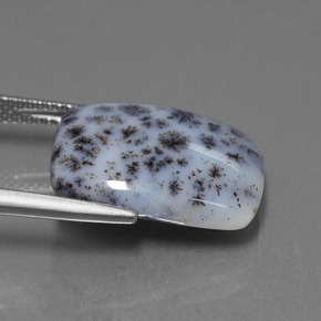 9,17 ctw natürlicher Mehrfarbig Dendritischer Chalcedon, Kissenschliff, Lichtundurchlässig