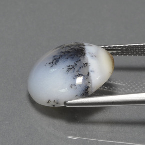 9,17 ctw natürlicher Mehrfarbig Dendritischer Chalcedon, Rund Schliff, Lichtundurchlässig