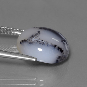 9,17 ctw natürlicher Mehrfarbig Dendritischer Chalcedon, Rund Schliff, Lichtdurchlässig