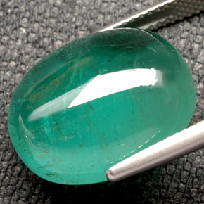 17,44 ctw natürlicher grüner Smaragd, Transparent, Transparent / Lichtdurchlässig