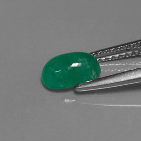 0,90 ctw natürlicher grüner Smaragd, Transparent, Transparent / Lichtdurchlässig