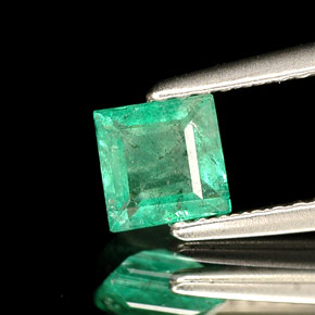 0,49 ctw natürlicher grüner Smaragd, Quadrat, SI-I1