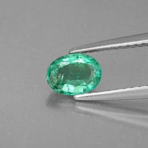 0,55 ctw natürlicher grüner Smaragd, Oval Schliff, VS-SI