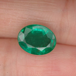 1,63 ctw natürlicher grüner Smaragd, Oval Schliff, VS-SI