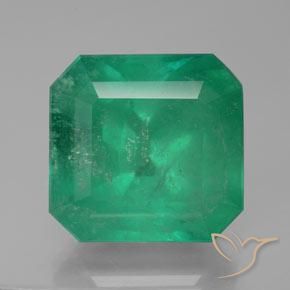 28.80ct Natürlicher Waldgrün Smaragd, Smaragdschliff, SI