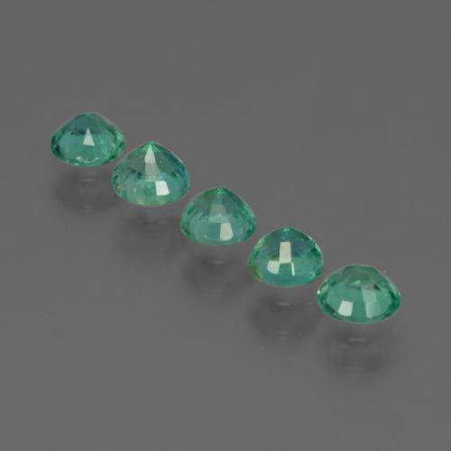 1,02 ct natürliche grüner Smaragd-Edelsteine, Rundschliff, SI