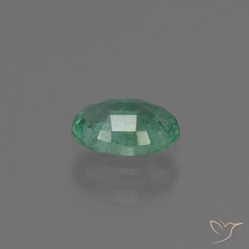 9,17 ctw natürlicher Blau-grün Smaragd, Oval, SI